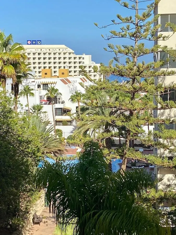 Appartamento El Dorado Playa de las Americas  0*, Playa de las Americas (Tenerife) Spagna