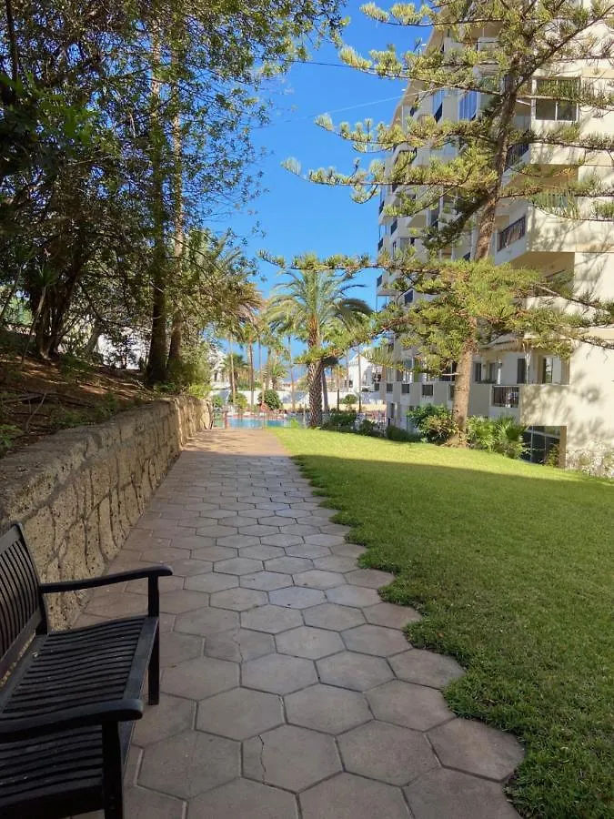 El Dorado Apartment Playa de las Americas   Playa de las Americas (Tenerife)
